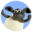Team hemuli