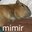 GOMimir
