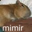 GOMimir