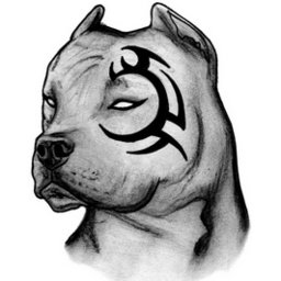Diplo