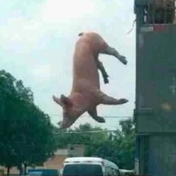 ??????? ????????#4340