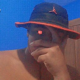 Dvz xitz