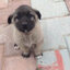 OBSESIF (was deleted at: 2025-12-14T11:09:49.6224622Z)