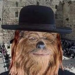 Not a Rabbi, Maybe a Wookie