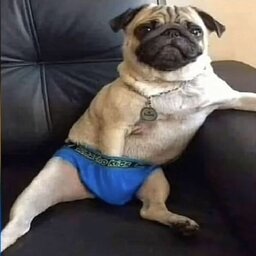 _KARA