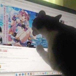 G!Sa