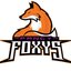 FXY Fancy Foxys