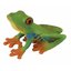 FrogFive