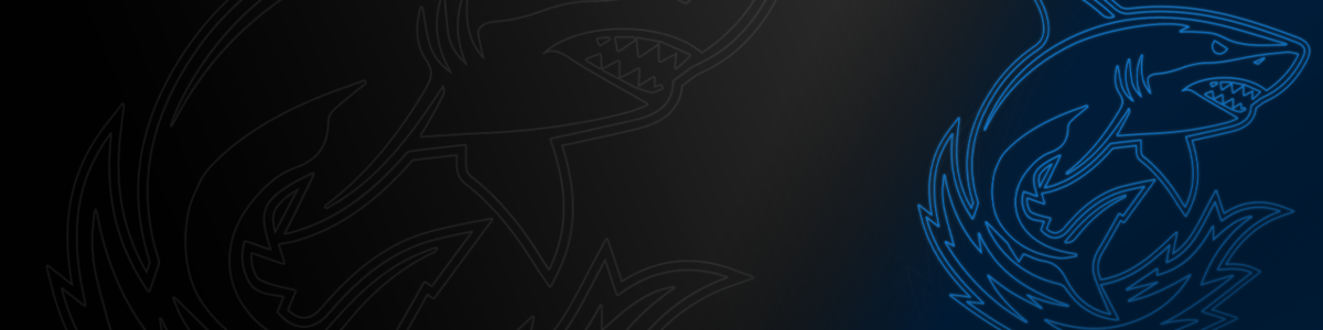 Riptide Esports OCE - Profile | Challengermode