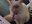 luis_bb