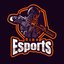 NiRoEsports