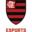 Flamengo Esports - Patroas