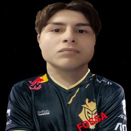 G2F Mauro