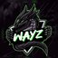 Wayzesports