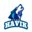 Team Havik