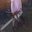 davi_dushi