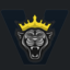 Varbergs E-Sportsklubb