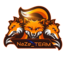 NaZe_Team