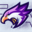 Dark Falcons T