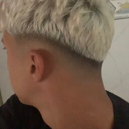mayerX
