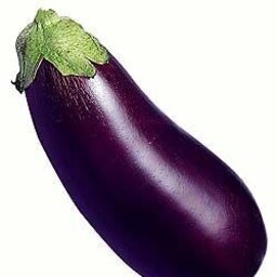 Eggplant00