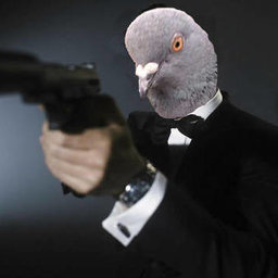 AgentPigeon