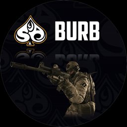Burb_pro_player