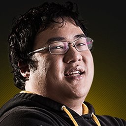 Scarra cat