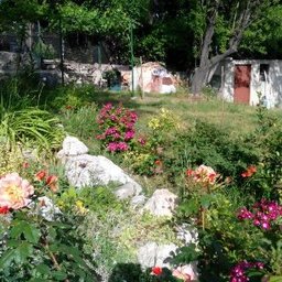 panayotov.51@gmail.com