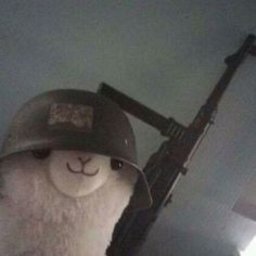 Gen4o