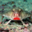 Red-Lipped Whiffers (was deleted at: 2022-07-21T04:13:14.1381653Z)