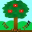 Triangulinum#6091