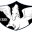 Corinthians Academy