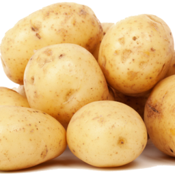 Batatas