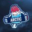 Arctic E-Sport (was deleted at: 2024-06-05T22:12:51.6739667Z)