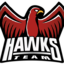 Hawks Team