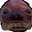 Sebastenuel