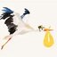 TheStorks