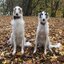 5 prizdisracu (was deleted at: 2022-11-07T16:33:50.2212699Z)