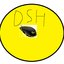 DSH_TEAM