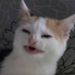 Tsuyoku