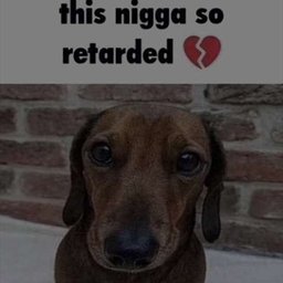 pooperlooper