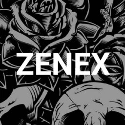 ZeNeX20