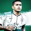 PALMIRINTHIANS