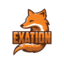 Exation X