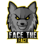 Face The Fact