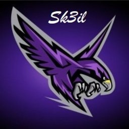 Sk3il