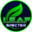 LEAF SPECTER