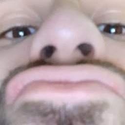 TissueKB