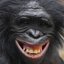 Animals With Ambition